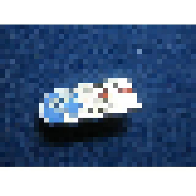 Значок. Воркута - Москва. 1959