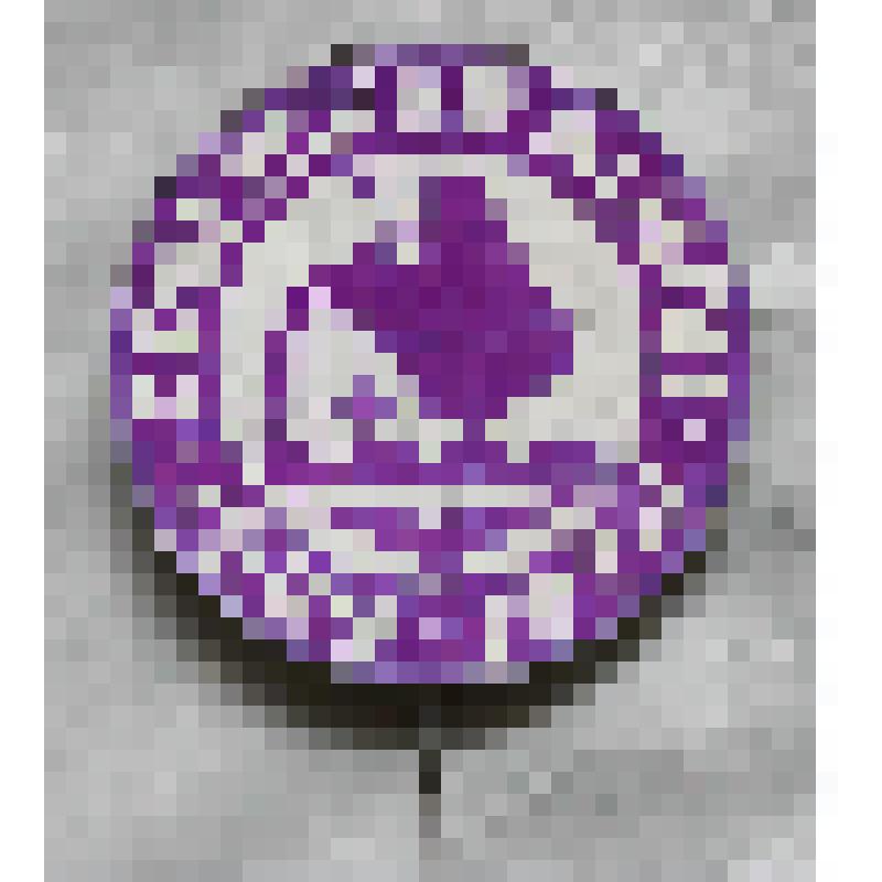 Значок "Советский район. 1969-1974"