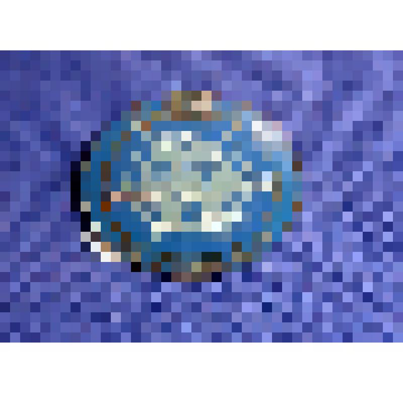 Значок "70 лет Открытое Акционерное Общество СВЕРДНИИХИММАШ 1942-2012". Российская Федерация