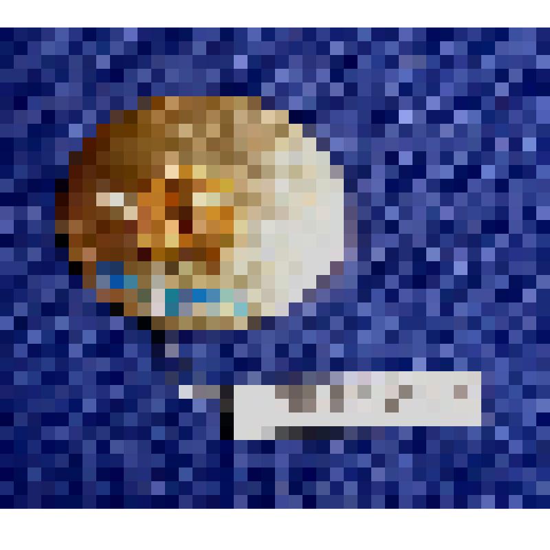 Значок "70 лет Открытое Акционерное Общество СВЕРДНИИХИММАШ 1942-2012". Российская Федерация