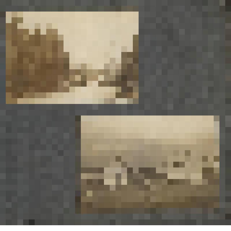 Лист из фотоальбома. Фотоальбом Н. Н. Кудаш, в замужестве Жаровой. Годы учебы в русской гимназии в Моравской Тршебове. Лист 4. Четыре фотографии (пейзаж окрестностей), две из которых на обороте листа.
 (