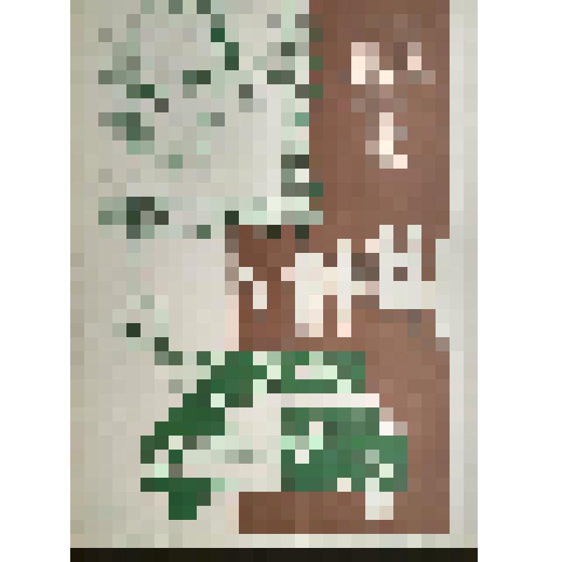 плакат. Фильм: Лимузин цвета белой ночи. 1981