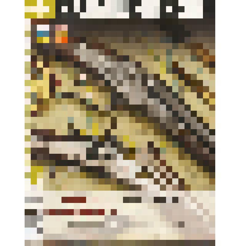 Журнал «Калашников» № 5/2013 г