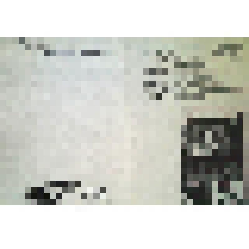 Учетная карта-паспорт элемента исторической застройки к историко-архитектурному опорному плану и проекту зон охраны. РСФСР, Тульская область, г. Тула, Зареченский р-н, квартал №53, ул.Штыковая, д. 55