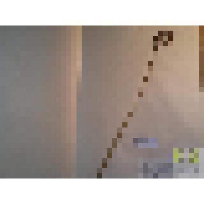 Камыш озерный (Scirpus lacustris L.)