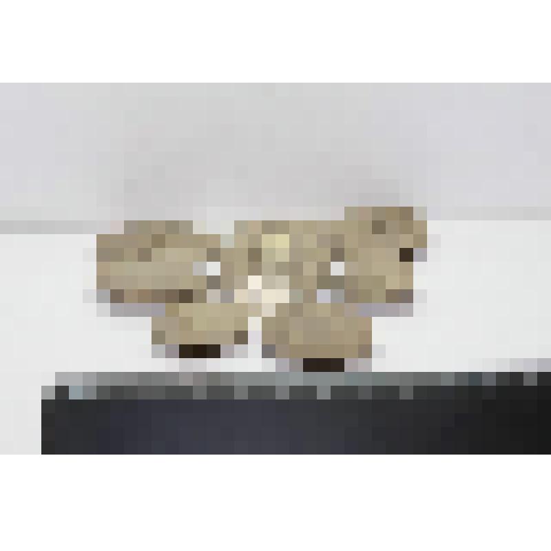 Осадочные породы. Чечевицеобразные глинистые образования