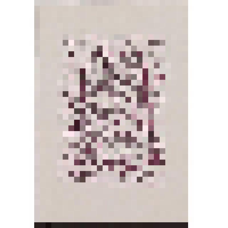 Книжный знак R. Č. Экслибрис