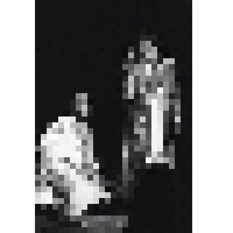 Негатив черно-белый. Борис Годунов - О.Н.Ефремов;  Федор Годунов - С.Ю.Шнырев. "Борис Годунов" (1994 г.)