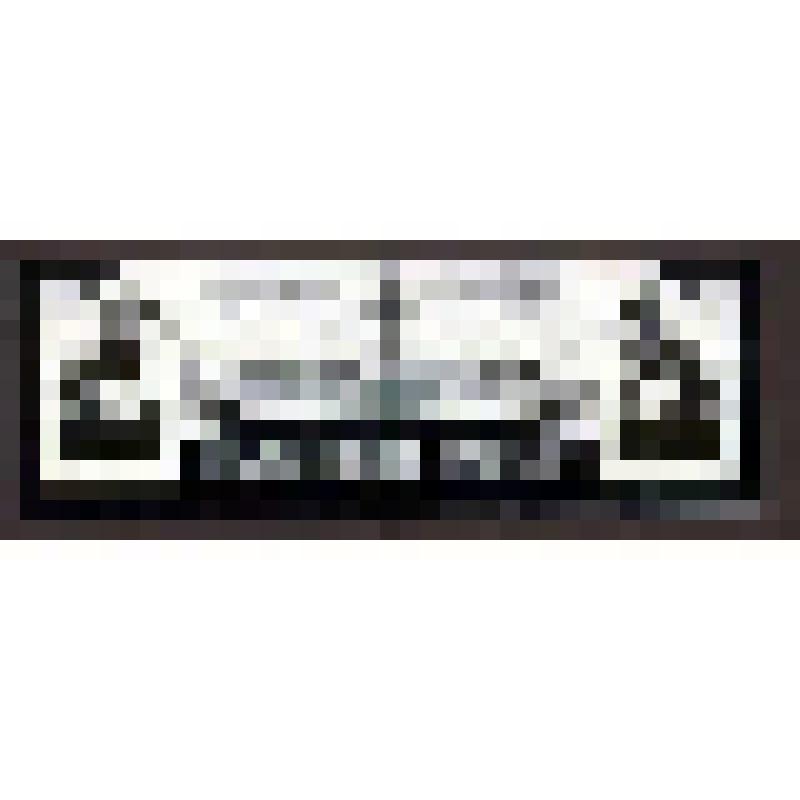 Значок "Львиный мост. Архитектор Соколов В."