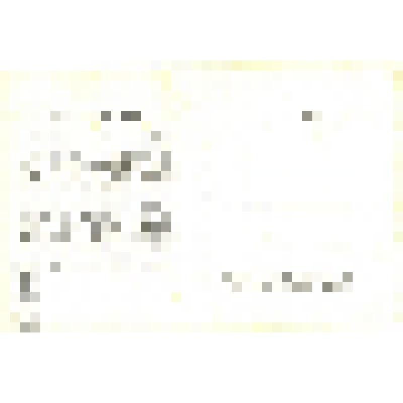 Набор почтовых открыток из 17 шт., ч/б