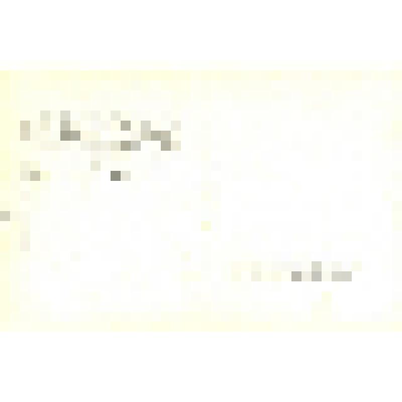 Набор почтовых открыток из 17 шт., ч/б