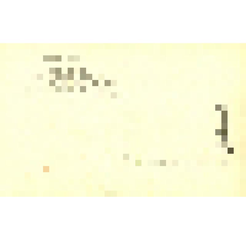 Набор почтовых открыток из 17 шт., ч/б