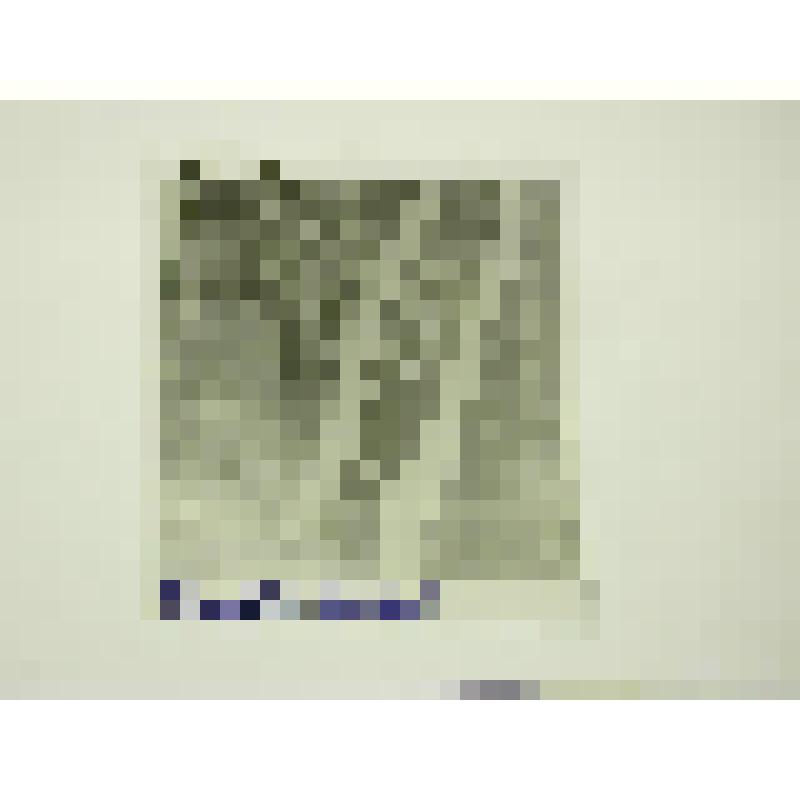 Дом архитектора К.С. Мельникова, 1927-1929 гг. Кривоарбатский пер., д.10. 1927-1929 гг. г. Москва. Дом архтектора К.С. Мельникова, 1927-1929 гг. Мельников Константин Степанович. Общий вид