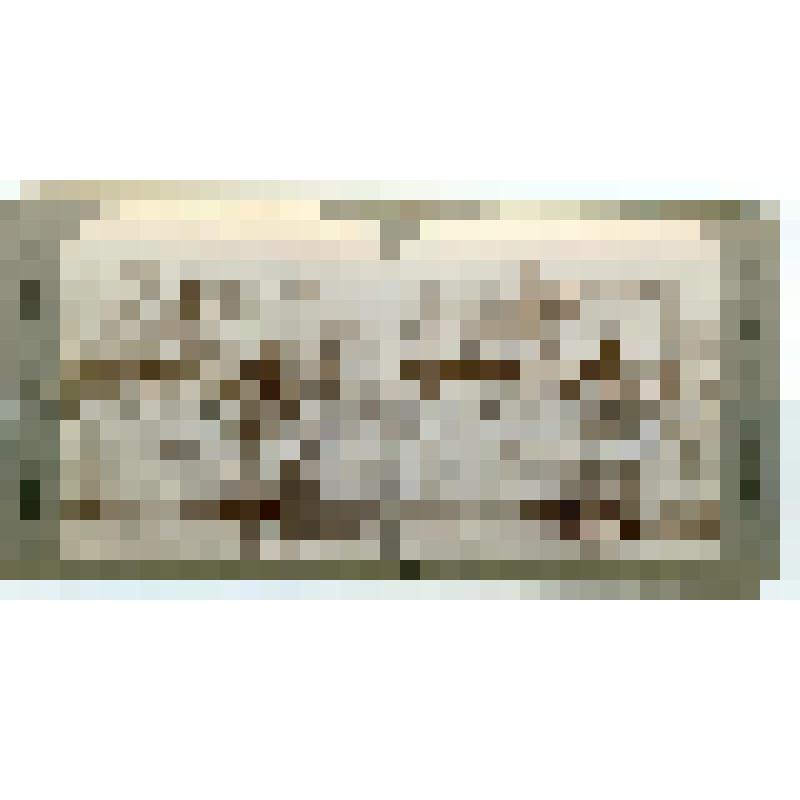 Эрехтейон. Акрополь. 421-407 гг. до н.э. Греция. Афины. Эрехтейон. Общ. вид. Underwood & Underwood