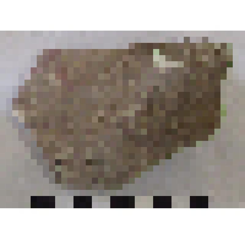 Фрагмент плеча амфоры типа D с дипинто