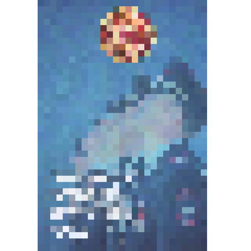 Книга. "Страницы истории Братского РОВД". - Братск: издательство ФГБОУ ВО «БрГУ», 2016 г