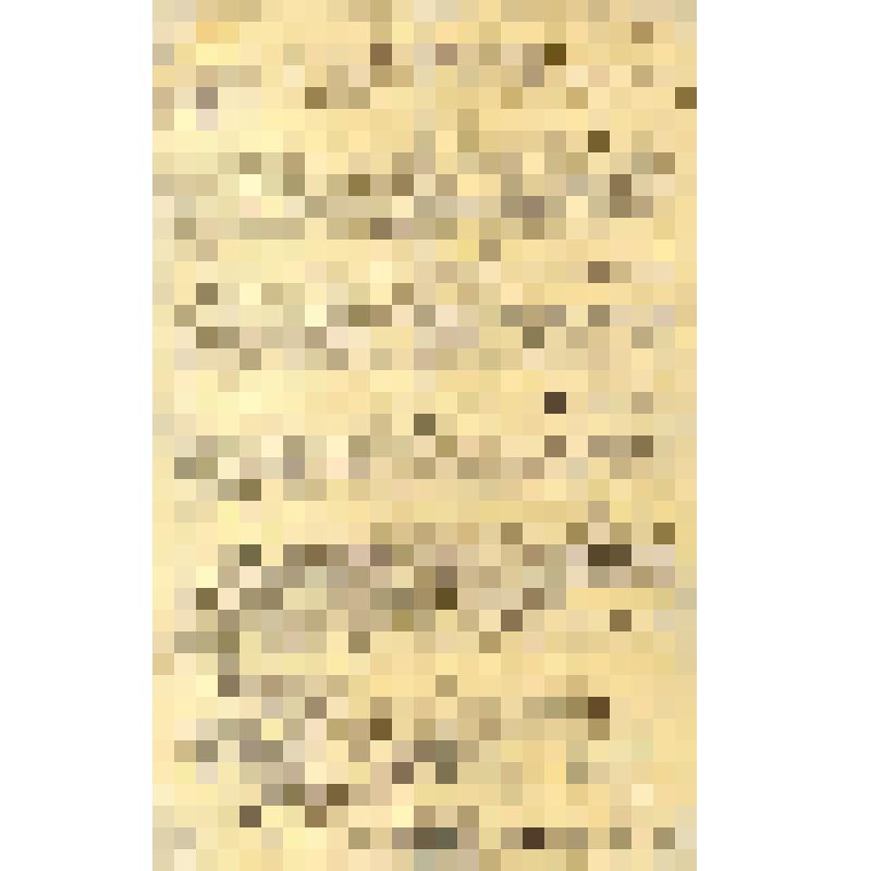 Российская социал-демократическая рабочая партия. Тверской  комитет РСДРП. К рабочим стеклянного завода