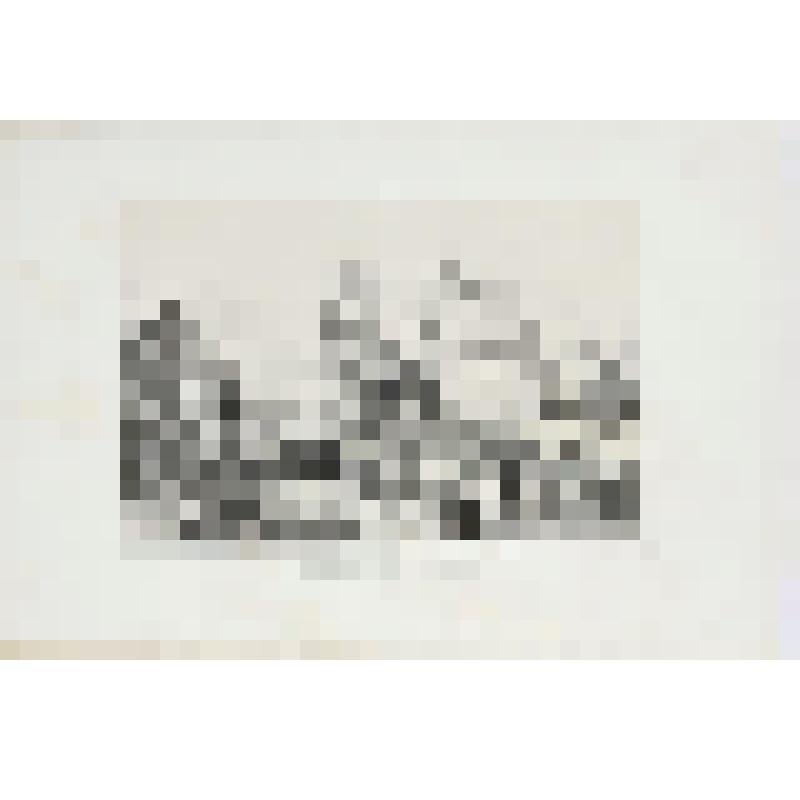 Литография. "Тверь. Часовня и деревня близ Твери."