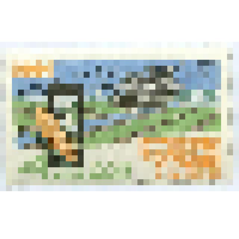 Марка почтовая. "За высокие урожаи!" 4 копейки