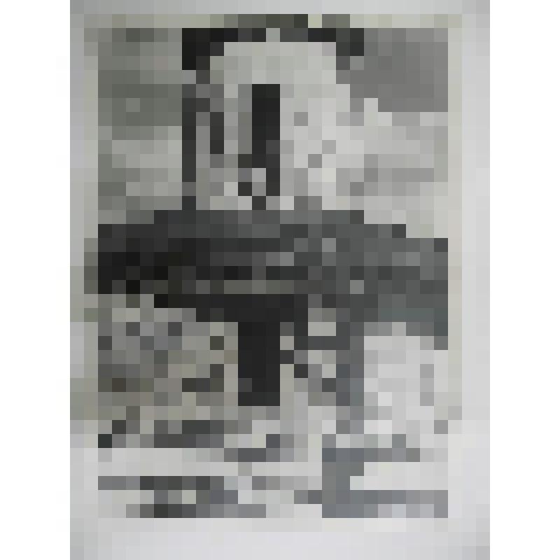 Церковь Иоанна Предтечи на Городище. 1360-1379 гг, перестр. пер.пол.ХVIв. Московская  обл., г. Коломна. Церковь Иоанна Предтечи на Городище, 1360-1379 гг, перестр. пер.пол.ХVIв. Декоративные детали западного фасада