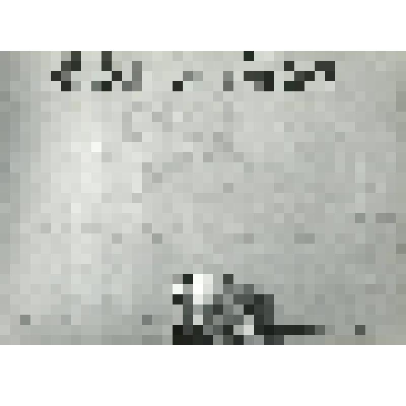 Фотография. Макс и Мориц погрудно, один показывает другому язык. "Макс и Мориц" (пост. Т. Херцберг, худ. П. Шенхо). Латвийская ССР, Рига. Государственный кукольный театр