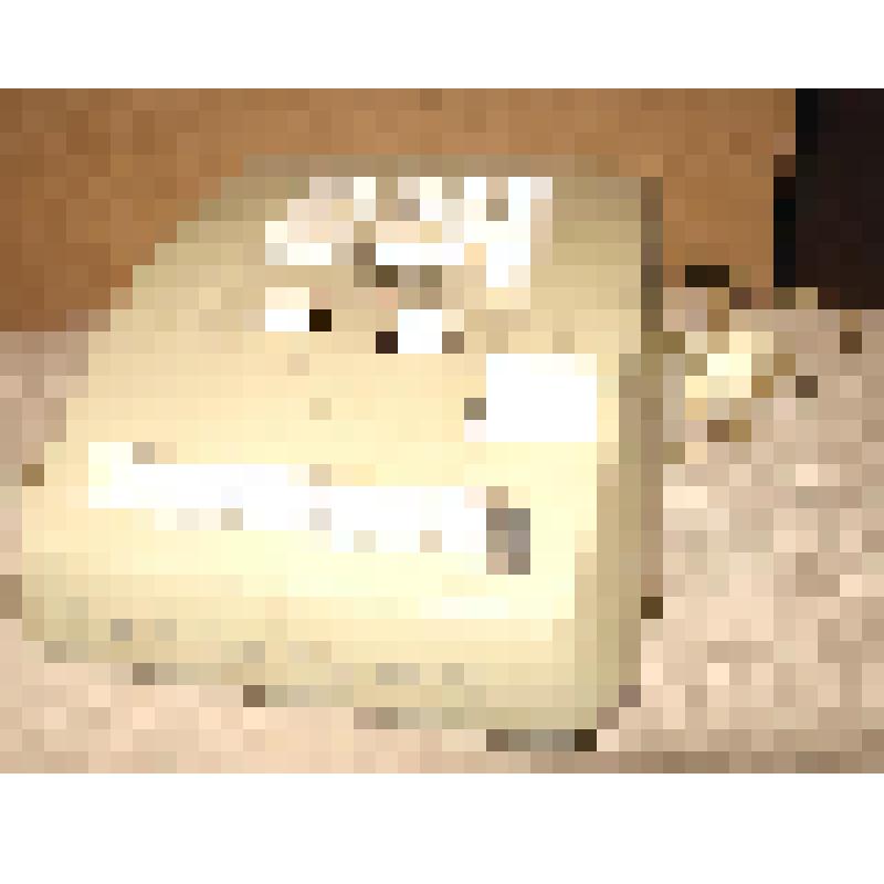 Машина электрическая счетная "Быстрица"