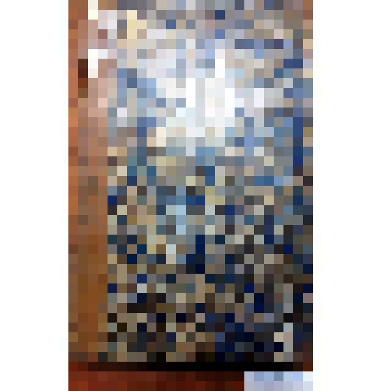 Книга. "Землеописание Российской Империи для всех состояний Санктпетербургского Педагогического Института Ординарного Профессора Евдокима Зябловского". Часть 4