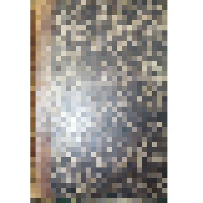 Книга. Сочинения Н.В. Гоголя. – Москва. Издание книжн. маг. В. Думнова,  Т. 5, 684 с