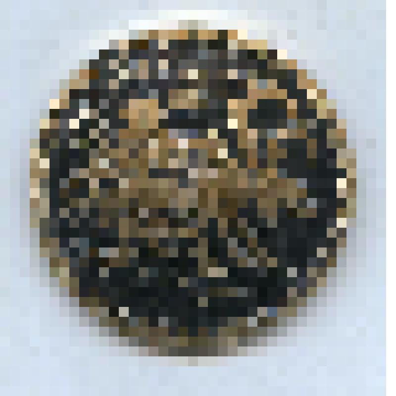 Значок "Оленевод". Из коллекции значков Самсоновой К.П