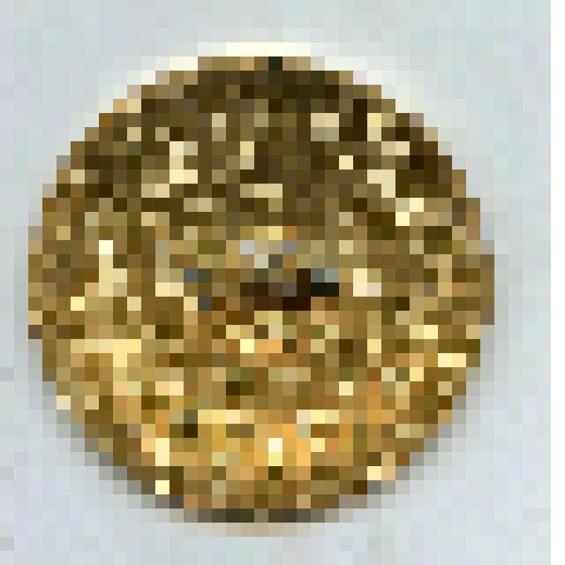 Значок "Оленевод". Из коллекции значков Самсоновой К.П