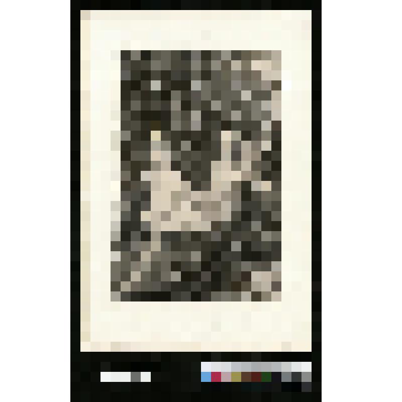 Сарра купальщица