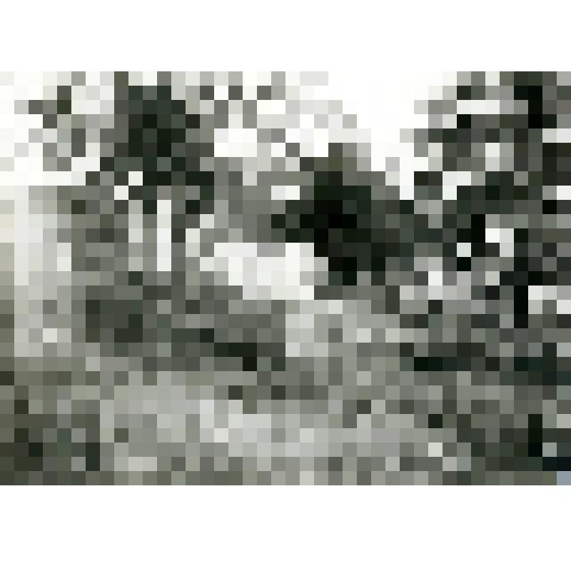 Фотография. Кладбище в с. Арке