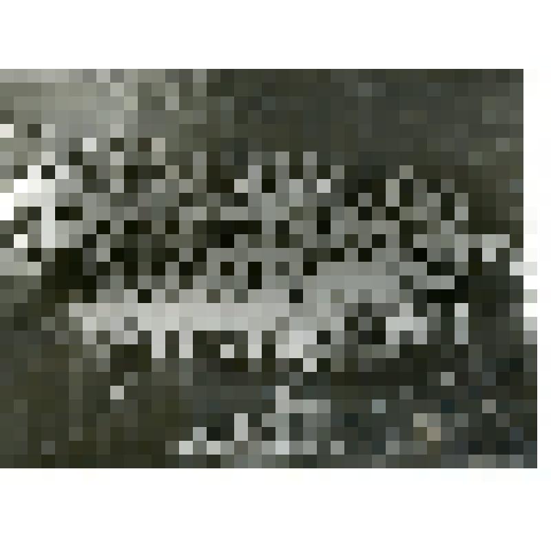 Выступление Симферопольского областного хора