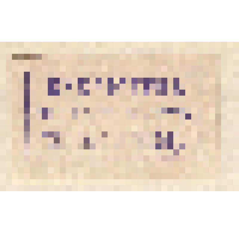 Экслибрис "Библiотека СПБ. Епарх. братства Пресвятыя Богородицы"