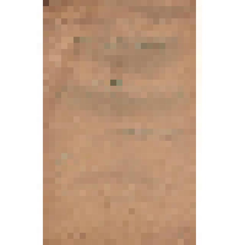 Смета на перестройку одной пары нижних брусчатых  полотен Детскосельского шлюза