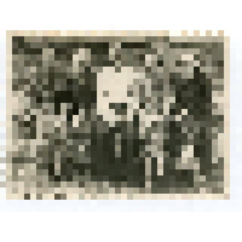 Фото групповое. Работники Назарьевской больницы