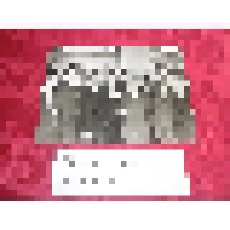 Фотография : Среди делегатов Ростовской области на 22 съезде КПСС М.А.Шолохов