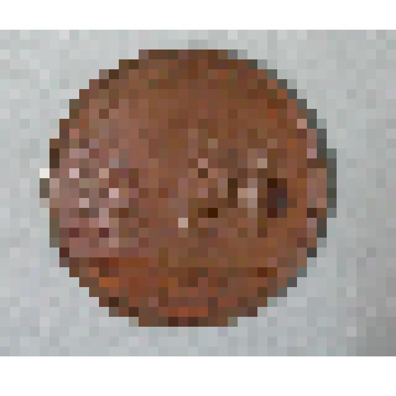 Медаль "Приятие посольства древлянами с извининием". № 52