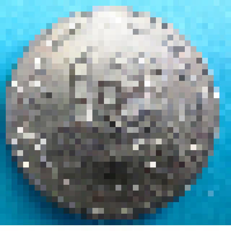 Монета России памятная 10 рублей 2013 года "Козельск"