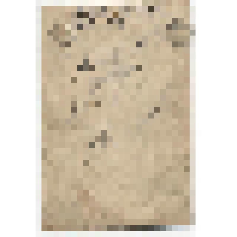 Фотография. Смирнов Павел Тимофеевич - ветеран 310 стрелковой дивизии, Австрия, 1945г