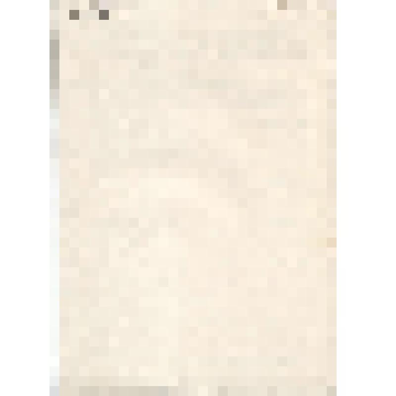 Документ. Протокол государственной аттестационной комиссии от 16 апреля 1969г