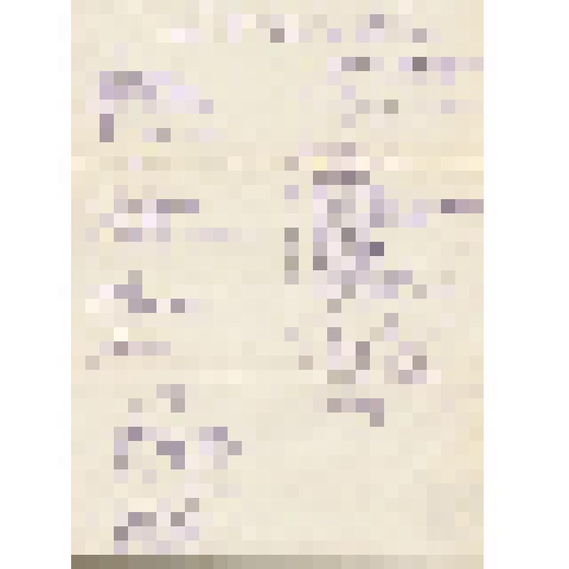 Программа. Намечается 1-я программа и отобранные ноты ко 2-й и 3-й. На 1970-1971 гг. В том числе: "Верую" Кастальского, "Отче наш" Кедрова, "Святый Боже" Чайковского и др.
 (