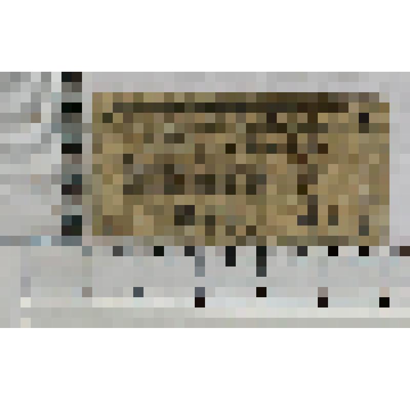 Германия, Магдебург (Magdeburg). Нотгельд. 5 пфеннигов. Без обозначения даты