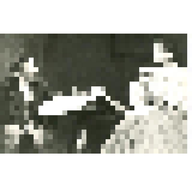 Фотография. Райский - М.М. Майоров, Вера - В.Я. Капустина. Он - сидит у стола, правая рука опущена, голова на 3/4 влево, она - сидит с другой стороны стола, в руках чашечка чаю, голова на 3/4 вправо. "Обрыв" (пост. - И. Ворошилова, А. Харламова, худ. - В