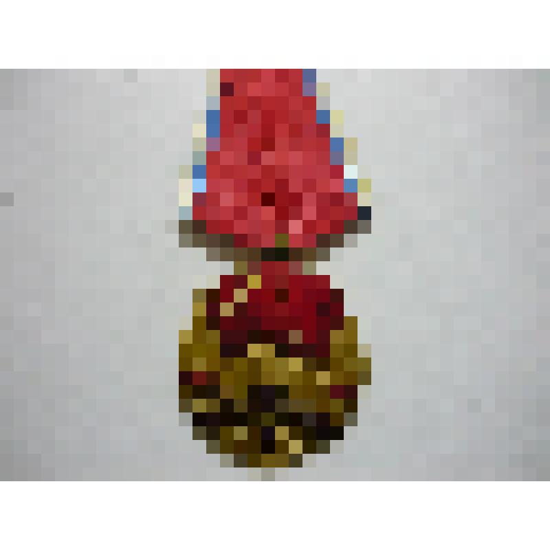 Медаль  за китайско-советскую дружбу