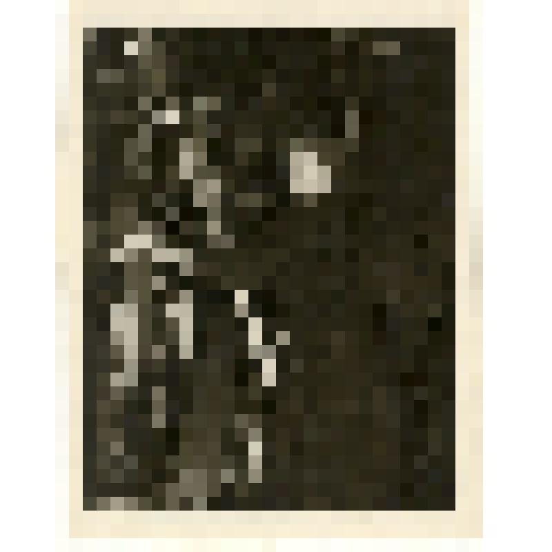 Фотография: Глазачева Мария Гавриловна, комбайнер совхоза "Путь Ильича" Крутихинского района Алтайского края