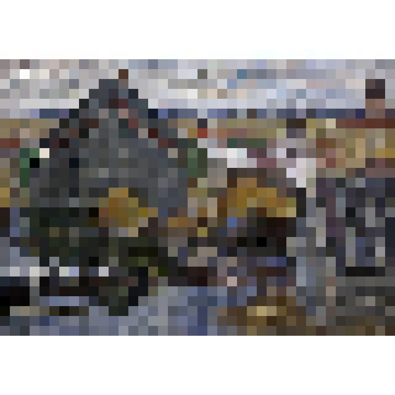 Старая Ладога