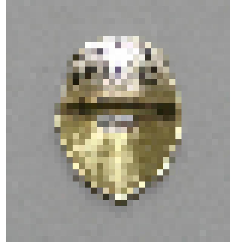 Членский знак "ДОСААФ СССР"