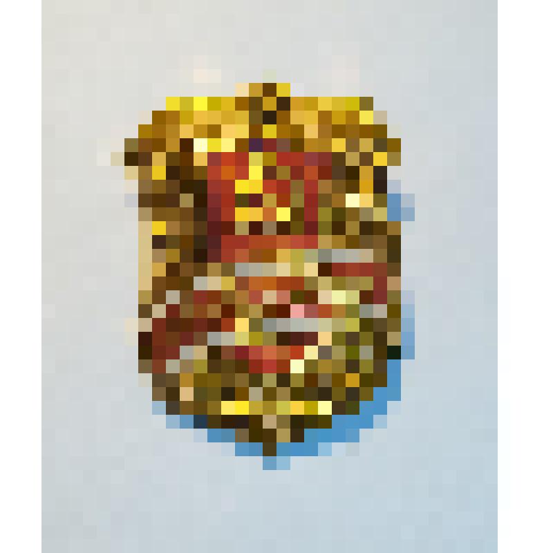 Значок «Дружинник»