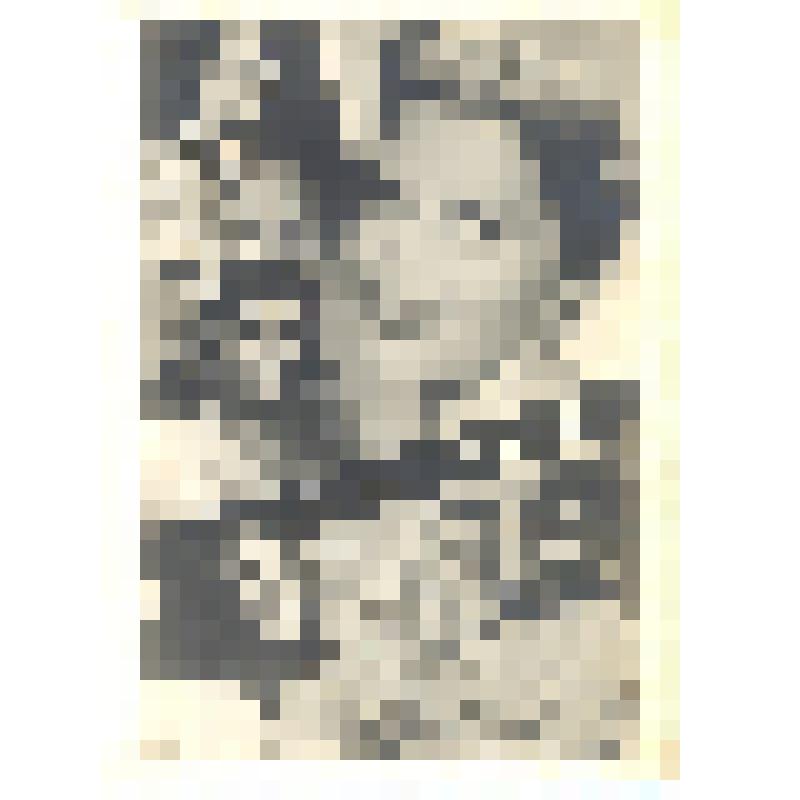 Набор почтовых открыток из 20 шт., ч/б